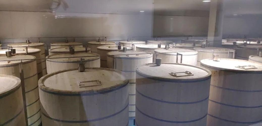 Dense rows of wooden fermentation barrels